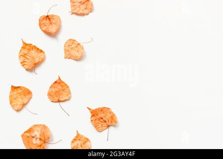 Herbsthintergrund aus trockenen gelben Blättern. Stockfoto