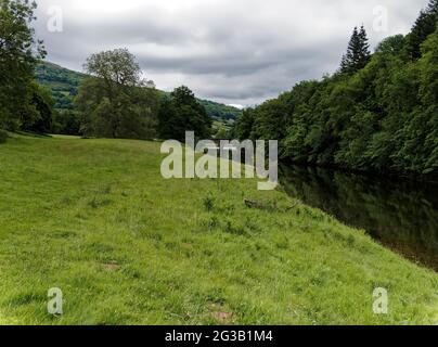 Glanusk Estate, Crickhowell, Powys, Großbritannien Stockfoto