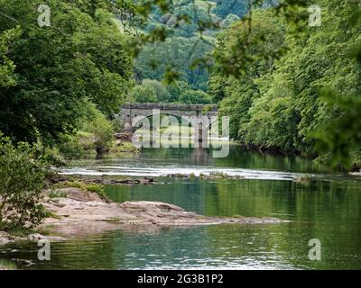 Glanusk Estate, Crickhowell, Powys, Großbritannien Stockfoto