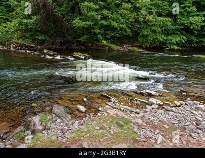 Glanusk Estate, Crickhowell, Powys, Großbritannien Stockfoto