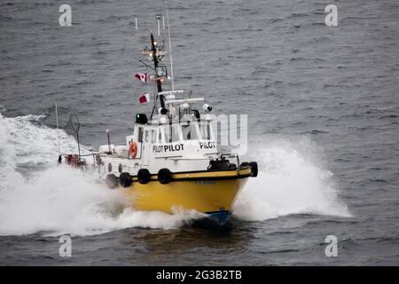 Pilotboot von PT Hardy British Columbia, das vor Vancouver Island, BC, Kanada, fährt Stockfoto