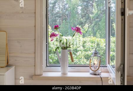 Weißes Fenster mit Moskitonetz in einem rustikalen Holzhaus mit Blick auf den Garten. Bouquet von rosa Pfingstrosen in Gießkannen auf der Fensterbank Stockfoto