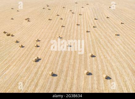 Landwirtschaftliches Feld mit Reihen von Heuballen und Streifenmuster. Panoramablick von oben Stockfoto