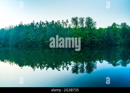 Deutschland, mystische Reflexion von grünen Bäumen des Waldes Naturlandschaft im stillen glasigen Wasser des baerensee-Sees im öffentlichen Park der stuttgarter Stadt bei su Stockfoto