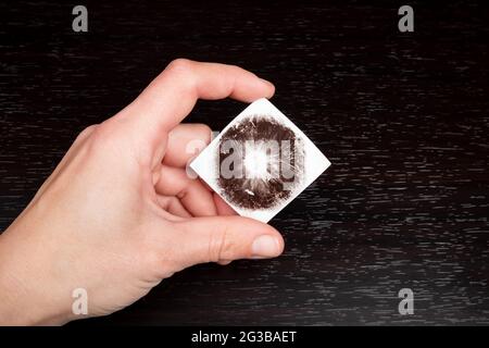 Pilzdruck Psilocybe cubensis in der Hand. Stockfoto