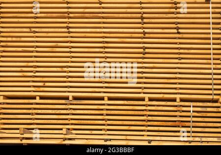 Lagerung von Holzbrettstapeln auf dem Sägewerk. In einer Schreinerei werden die Bretter gestapelt. Sägen Trocknen und Vermarktung von Holz. Kiefernholz für Stockfoto