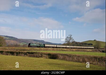 34070 Manston führt während der Frühjahrsdampfgala zur Erinnerung an die Somerset & Dorset Railway an den Quantock Hills vorbei Stockfoto