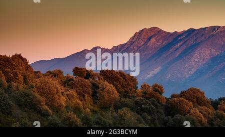 Berg Montseny, von der Wiese Pla de la Calma aus gesehen, mit Blick auf den Gipfel des Agudes bei Sonnenuntergang (Barcelona, Katalonien, Spanien) Stockfoto