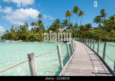 Ankunftsweg auf der Insel Taha'a - Französisch-Polynesien Stockfoto