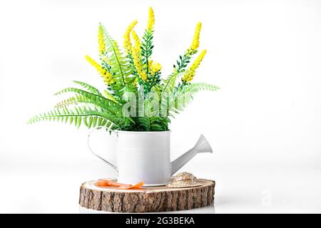 Schöne gelbe Blumen in einer Vase auf dem Tisch. Auf weißem Hintergrund. Stockfoto