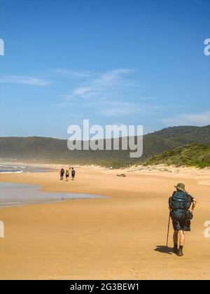 Wanderer an einem ruhigen, goldenen Sandstrand im Natures Valley im Tsitsikamma-Abschnitt des Garden Route National Park in Südafrika Stockfoto