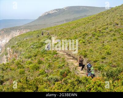 Breiten Sie im Sommer Wanderer auf einer Probezeit durch Fynbos entlang des Garden Route National Park von Südafrika aus Stockfoto