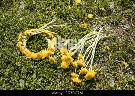 Auf dem Gras liegt ein Kranz aus Dandelionen. Stockfoto