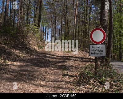 Eingang des von Laub bedeckten Waldweges mit Verbotsschild im Pfälzerwald bei Annweiler am Trifels, Deutschland im Frühjahr. Stockfoto