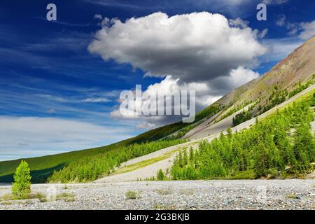 Berglandschaft mit Wald und blauer Himmel Stockfoto
