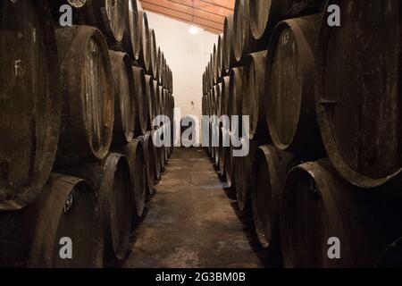 Weinfässer auf dem Weingut. Gestapelte Weinfässer auf dem spanischen Weingut. Stockfoto