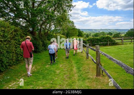 Eine Gruppe von Wanderern, die auf einem grasbewachsenen öffentlichen Fußweg zwischen Plumpton Green und South Chailey in East Sussex, England, wandern. Stockfoto