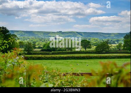 Blick auf South Downs über Weiden, Hecken und Wälder in der Landschaft von Sussex, England. Stockfoto