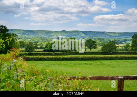 Blick auf South Downs über Weiden, Hecken und Wälder in der Landschaft von Sussex, England. Stockfoto