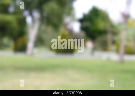 Unscharfe Naturlandschaft, verschwommenes Naturfoto für den Hintergrund. Stockfoto