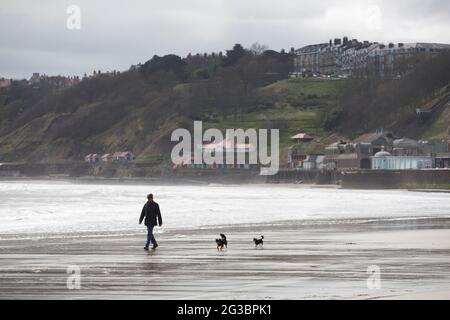 Ein Mann nimmt seine Hunde mit auf einen Spaziergang am Strand von Scarborough im Norden von Yorkshire, während sich die Coronavirus-Epidemie im Vereinigten Königreich verschärft und die Menschen obs Stockfoto