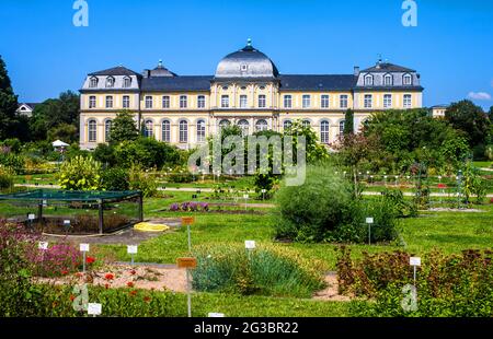 Schloss Poppelsdorf und Botanischer Garten in Bonn, Deutschland Stockfoto