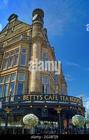 Großbritannien, North Yorkshire, Harrogate, Bettys Café Tea Rooms auf der Parliament Street Stockfoto