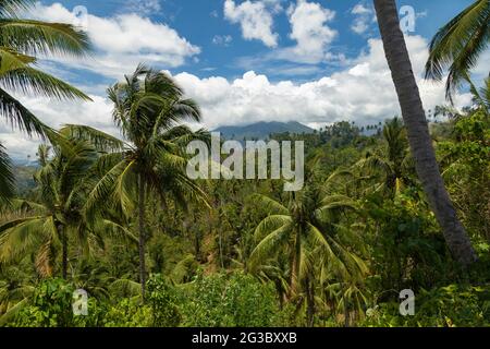 Klabat Vulkan, versteckt von Wolken, im Hintergrund einer tropischen Landschaft aus Palmen und grünen Bäumen, North Minahasa, Sulawesi, Indonesien Stockfoto