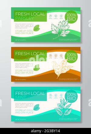 Etikettenvorlagen Für Frische Lokale Pflanzen Festgelegt. Abstrakte Vektor Verpackung Horizontales Design Layouts Sammlung. Moderne Typografie Banner mit Minze, Petersilie Stock Vektor