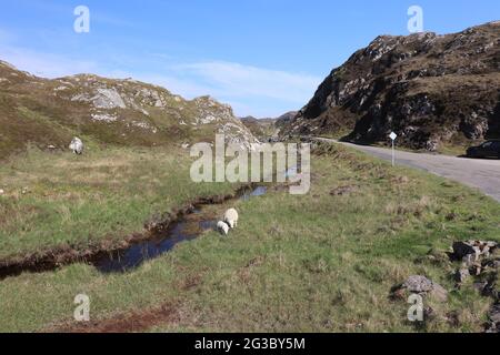 Charakteristische Hügel, Moore und Seen in den schottischen Highlands entlang der malerischen North Coast 500 Route, die in Inverness beginnt und endet Stockfoto