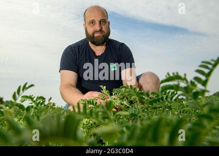 Schleibnitz, Deutschland. Juni 2021. Jonas Schulze Niehoff sitzt inmitten der Blüten der Kichererbsen, die er angebaut hat. Der Biobauer aus der Magdeburger Börde gehört zu den Pionieren des Kichererbsen-Anbaus in Deutschland. Die Kichererbsen sind ein Nischenprodukt in Deutschland. Nur eine kleine Anzahl von Landwirten beschäftigt sich mit den Früchten. Nach Angaben des Statistischen Bundesamtes liegen aufgrund des geringen Erntevolumens noch keine Daten vor. Der Import war jedoch seit 2019 um fast 7000 Tonnen auf 19 300 Tonnen (2020) gestiegen. Quelle: Klaus-Dietmar Gabbert/dpa-Zentralbild/ZB/dpa/Alamy Live News Stockfoto