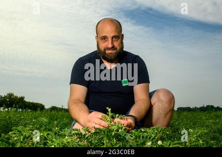 Schleibnitz, Deutschland. Juni 2021. Jonas Schulze Niehoff sitzt inmitten der Blüten der Kichererbsen, die er angebaut hat. Der Biobauer aus der Magdeburger Börde gehört zu den Pionieren des Kichererbsen-Anbaus in Deutschland. Die Kichererbsen sind ein Nischenprodukt in Deutschland. Nur eine kleine Anzahl von Landwirten beschäftigt sich mit den Früchten. Nach Angaben des Statistischen Bundesamtes liegen aufgrund des geringen Erntevolumens noch keine Daten vor. Der Import war jedoch seit 2019 um fast 7000 Tonnen auf 19 300 Tonnen (2020) gestiegen. Quelle: Klaus-Dietmar Gabbert/dpa-Zentralbild/ZB/dpa/Alamy Live News Stockfoto