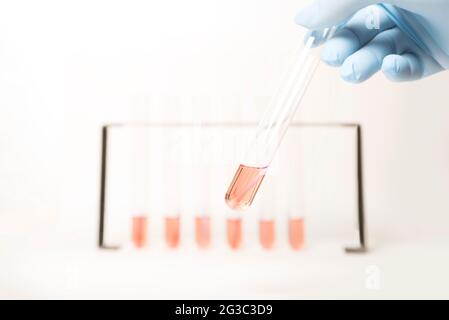 Reagenzgläser in einem Rack. Grafische Darstellung für ein Balkendiagramm, Statistiken, Daten für Wissenschaft, Medizin, Biologie, Biomedizinisches Labor. Stockfoto