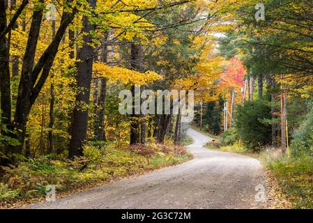 Verlassene, kurvenreiche Waldstraße in den Bergen im Herbst. Wunderschönes Herbstlaub. Stockfoto