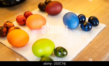 Frisch bemalte bunte osterhuhnchen und Wachteleier liegen darin Die Küche Stockfoto