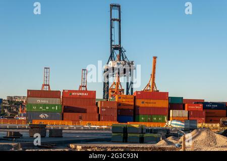 Container und Krane im Hafen von Gdynia in Polen Stockfoto