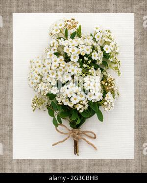 Blumenstrauß, Blumenarrangement aus weißen kleinen Blumen auf weißem Hintergrund mit braunem Rahmen. Flach liegend, Draufsicht. Postkarte oder Bild. Stockfoto