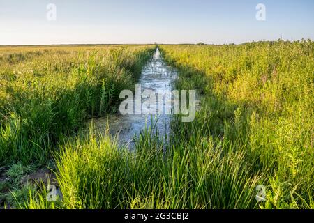 Drainage-Kanal auf Süßwasser-Sumpf hinter östlichen Ufer des Wash. Stockfoto