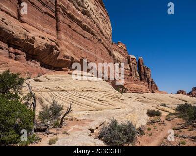 Formationen entlang des Elephant Canyon Cutoff Trail, Needles District, Canyonlands National Park, Utah. Stockfoto