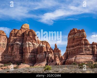 Nadelformationen erheben sich entlang des Kisler Park Trail, Needles District, Canyonlands National Park, Utah. Stockfoto