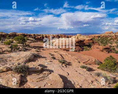 Nadelformationen entlang des „The Kepler Park Trail“, des „Needles District“, des Canyonlands National Park, Utah. Stockfoto