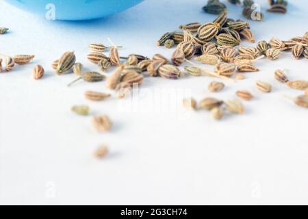 Extreme Makroaufnahme von Samen von Ajwain oder Ajowan oder wissenschaftlichen Namen Trachyspermum ammi – auch bekannt als Ajowan Kümmel, Thymol Samen, Bishop's Weed, oder Ca Stockfoto