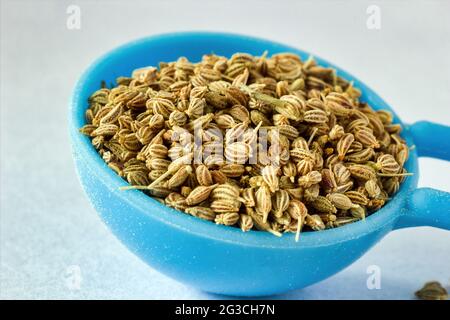 Extreme Makroaufnahme von Ajwain oder Ajowan oder dem wissenschaftlichen Namen Trachyspermum ammi – auch bekannt als Ajowan-Kümmel, Thymol-Samen, Bishop's Weed oder Carom isola Stockfoto