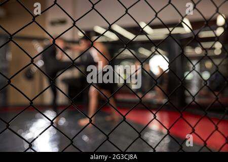 Zwei starke Männer Boxer Boxen, Ausübung thai Boxen in Silhouette, MMA. Blick durch den Käfig, im Ring im Fitnessstudio. Seitenansicht. Fokus auf Käfig, Nahaufnahme Stockfoto