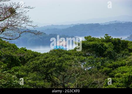 Frachtschiff im Panamakanal im Nebel des Dschungels, der ein tolles Landschaftsbild umgibt Stockfoto