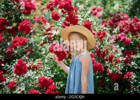 Sommerportrait eines hübschen kleinen Mädchens, das weißes Kleid und Hut trägt und in einem Rosengarten mit duftenden Blumen posiert. Glücklich lächelndes Baby. Liebe zur Natur. Romanti Stockfoto