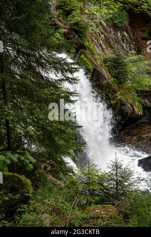 Vertikale Aufnahme des prächtigen Triberg-Wasserfalls im Schwarzwald, aufgenommen in Deutschland Stockfoto