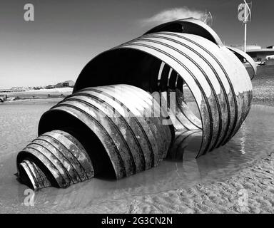 Muschelskulptur am Strand Stockfoto