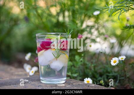 Gin und Toinic Drink im Garten am Sommertag Stockfoto