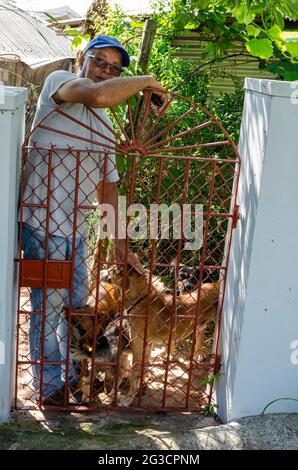 Mann am Tor mit der Hand, die seine Hunde berührt Stockfoto